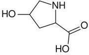 BSA Conjugated Hydroxyproline (Hyp), RPU50803