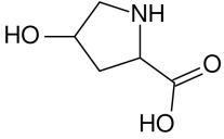 BSA Conjugated Hydroxyproline (Hyp), RPU50803