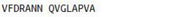 OVA Conjugated Pepsin (PP), RPU50806