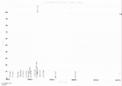 OVA Conjugated Rabbit Interleukin 7 (IL7)