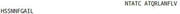 OVA Conjugated Amylin, RPU50817