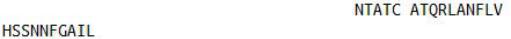 OVA Conjugated Amylin, RPU50817