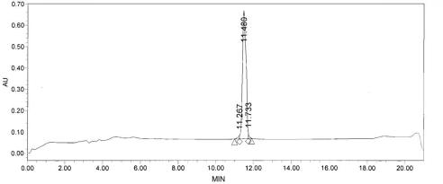 OVA Conjugated Human Amylin