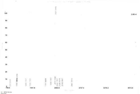 OVA Conjugated Rat Prolactin (PRL)