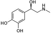 BSA Conjugated Epinephrine (EPI), RPU50821