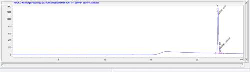 OVA Conjugated Human Parathyroid Hormone (PTH)