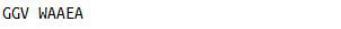 OVA Conjugated Serum Amyloid A (SAA), RPU50828