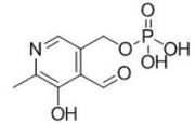 OVA Conjugated Vitamin B6 (VB6), RPU50837