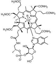BSA Conjugated Cyanocobalamin (CNCbl), RPU50838