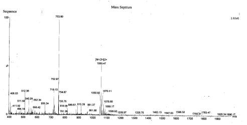 OVA Conjugated Human Gastrin (GT)