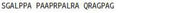 BSA Conjugated Salusin Alpha (SALa), RPU50870