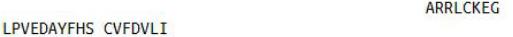 OVA Conjugated Hemojuvelin (HJV), RPU50874