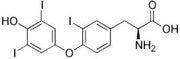 OVA Conjugated Reverse Triiodothyronine (rT3), RPU50877