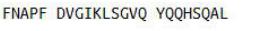 OVA Conjugated Obestatin (OB), RPU50879
