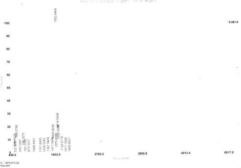 OVA Conjugated Human Collagen Type IV Alpha 4 (COL4a4)