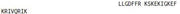 OVA Conjugated Cathelicidin Antimicrobial Peptide (CAMP), RPU50882