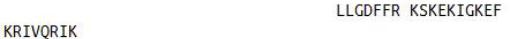 OVA Conjugated Cathelicidin Antimicrobial Peptide (CAMP), RPU50882
