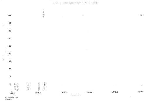 OVA Conjugated Rat Fibroblast Growth Factor 19 (FGF19)