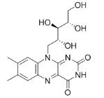 OVA Conjugated Vitamin B2 (VB2), RPU50889