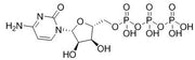 BSA Conjugated Cytidine Triphosphate (CTP), RPU50903