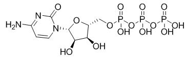 BSA Conjugated Cytidine Triphosphate (CTP), RPU50903