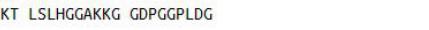 OVA Conjugated Engrailed Homeobox Protein 2 (EN2), RPU50907