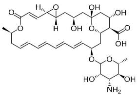 OVA Conjugated Natamycin (NTM), RPU50914