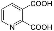 OVA Conjugated Quinolinic Acid (QA), RPU50922