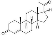 HSA Conjugated Progesterone (PG), RPU50935