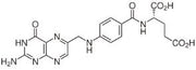 OVA Conjugated Folic Acid (FA), RPU50936