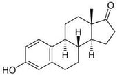 OVA Conjugated Estrone (E1), RPU50938