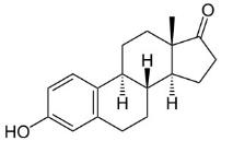 OVA Conjugated Estrone (E1), RPU50938