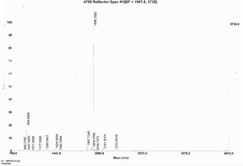 OVA Conjugated Human Brain Natriuretic Peptide (BNP)
