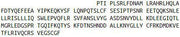 Recombinant Growth Hormone (GH), RPU50970