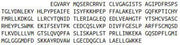Recombinant Sirtuin 2 (SIRT2), RPU50972