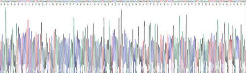 Recombinant Human Apolipoprotein C3 (APOC3)