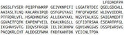 Recombinant Calpain 9 (CAPN9), RPU50997