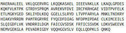 Recombinant Histidyl tRNA Synthetase (HARS), RPU50999