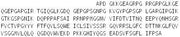 Recombinant Complement Component 1, Q Subcomponent A (C1qA), RPU51001