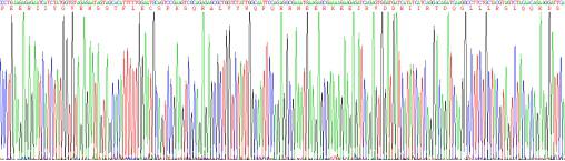 Recombinant Human Semaphorin 3A (SEMA3A)