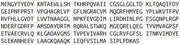 Recombinant Purine Nucleoside Phosphorylase (PNP), RPU51024