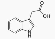OVA Conjugated Indole 3 Acetic Acid (IAA), RPU51081