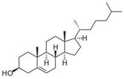 BSA Conjugated Cholesterol (CH), RPU51092