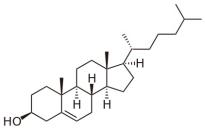 BSA Conjugated Cholesterol (CH), RPU51092