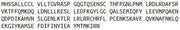 Recombinant Interleukin 10 (IL10), RPU51130