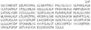 Recombinant Protease Activated Receptor 4 (PAR4), RPU51134