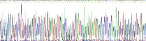 Recombinant Human Tyrosine Protein Kinase 7 (PTK7)