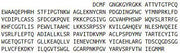 Recombinant Lipoprotein, a (Lpa), RPU51144