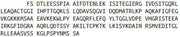 Recombinant Desmoplakin (DSP), RPU51172