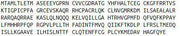 Recombinant Constitutive Androstane Receptor (CAR), RPU51183